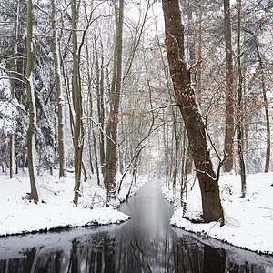 森林小溪旁厚厚的积雪图片