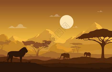非洲野生动物图背景图片