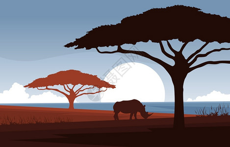 非洲野生动物背景插画图片