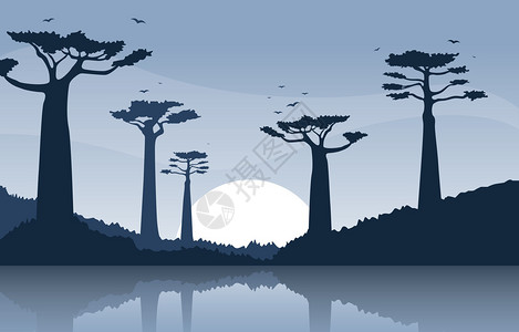 面包树非洲野生物图解插画