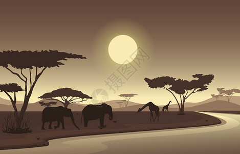 黄昏大象非洲野生动物大象剪影插画