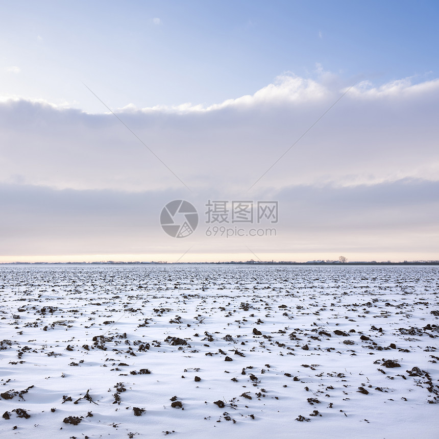 寒冬在蓝天空下雪覆盖了在无地的乌特勒支附近的农业田地图片