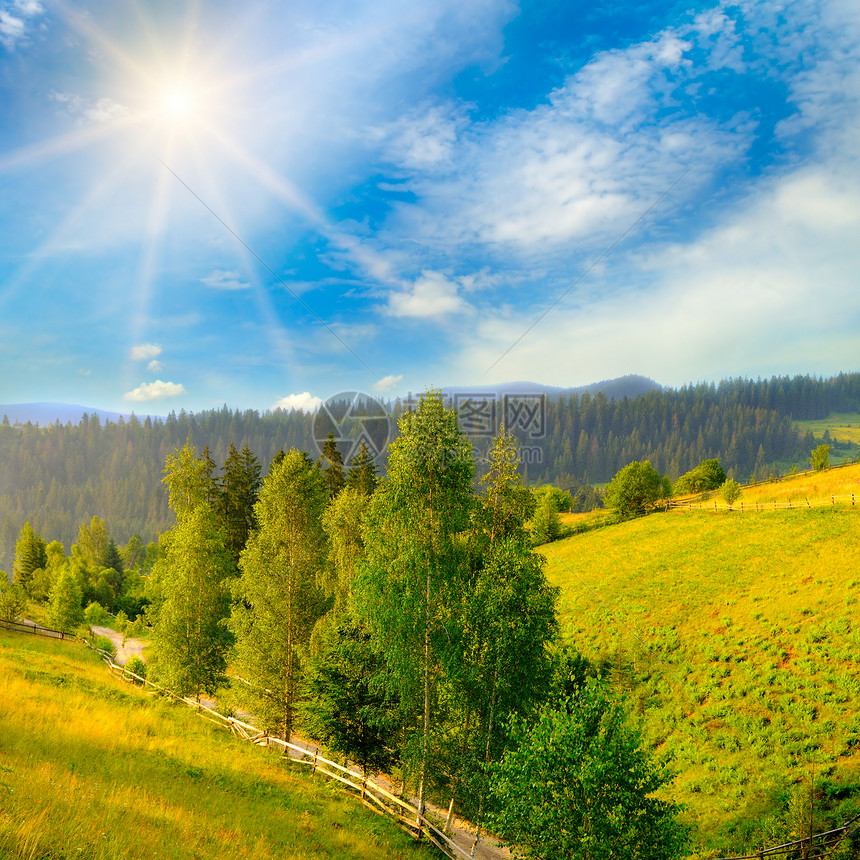 美丽的夏日山地广大的草原和森林由中午的阳光照亮图片