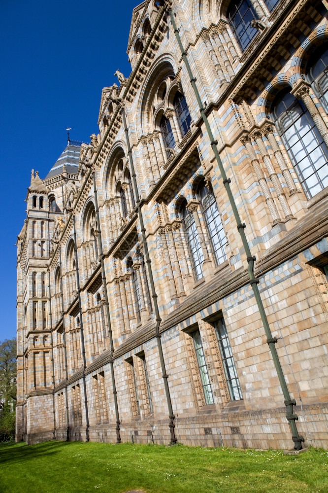 英国隆登的自然历史博物馆图片