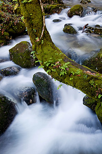 菲格雷斯北部葡萄牙格雷斯公园的河流瀑布背景