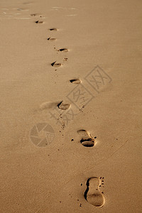 湿沙中的人类足迹图片