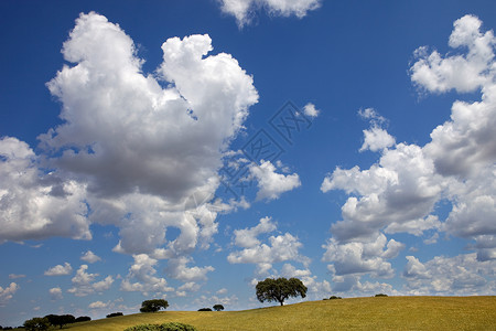 在Portugal以南的Aentjo农场风景背景图片