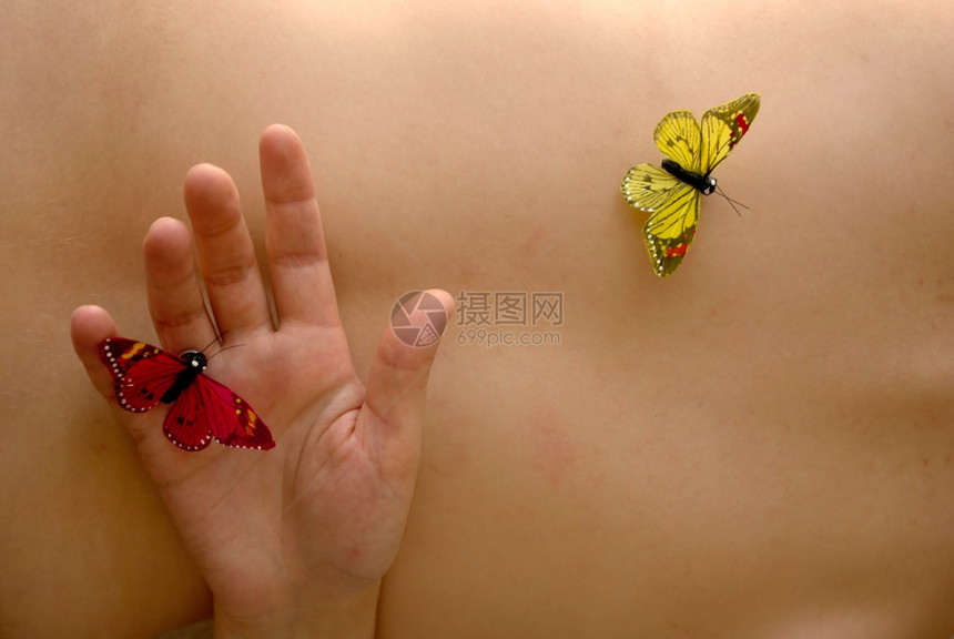 女人裸皮肤的假蝴蝶图片
