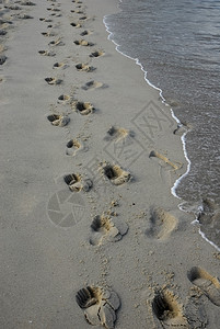 海滩沙上的脚印图片