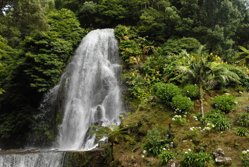 绿色植物之间巨大的瀑布图片