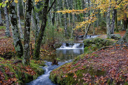 北部葡萄牙格雷斯公园的河流瀑布高清图片