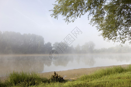 法兰西罗瓦河的晨雾高清图片