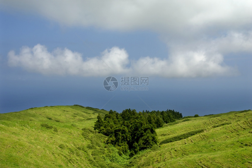 在SaoMiguel岛的沿海风景图片