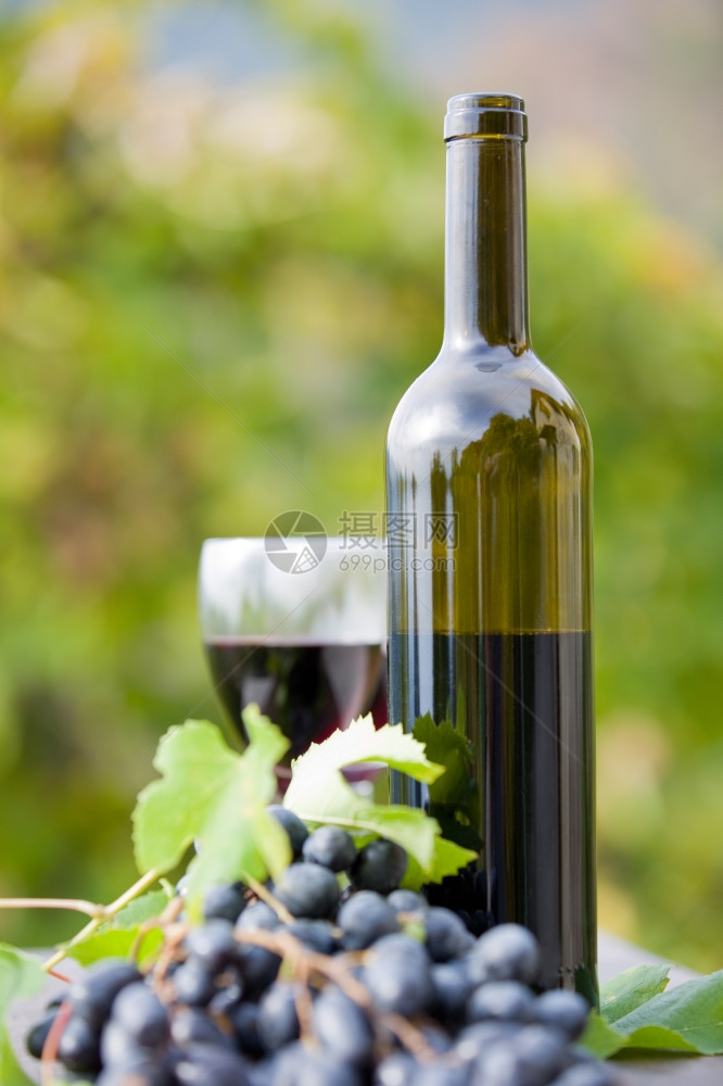 户外木制桌上的酒瓶和葡萄图片