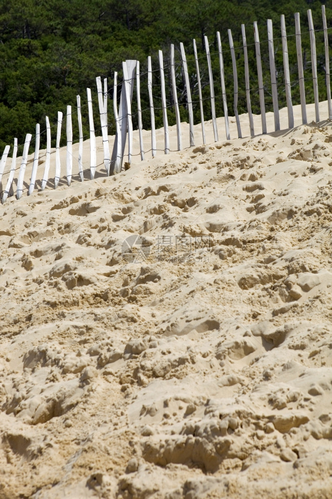 著名的皮拉栅栏丘在欧洲最高的沙丘在pylasurmefance图片