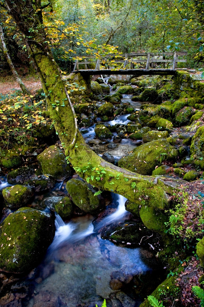北部葡萄牙格雷斯公园的河流瀑布图片