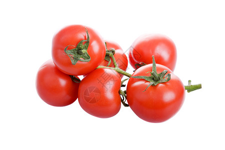 6个红新鲜西柿组白方等离子体图片