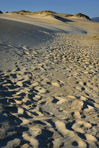 沙原和蓝天漠图片