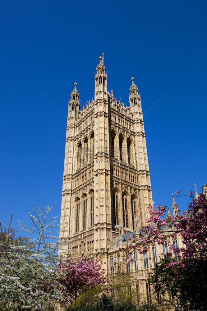 伦敦西敏斯特市议会大楼图片