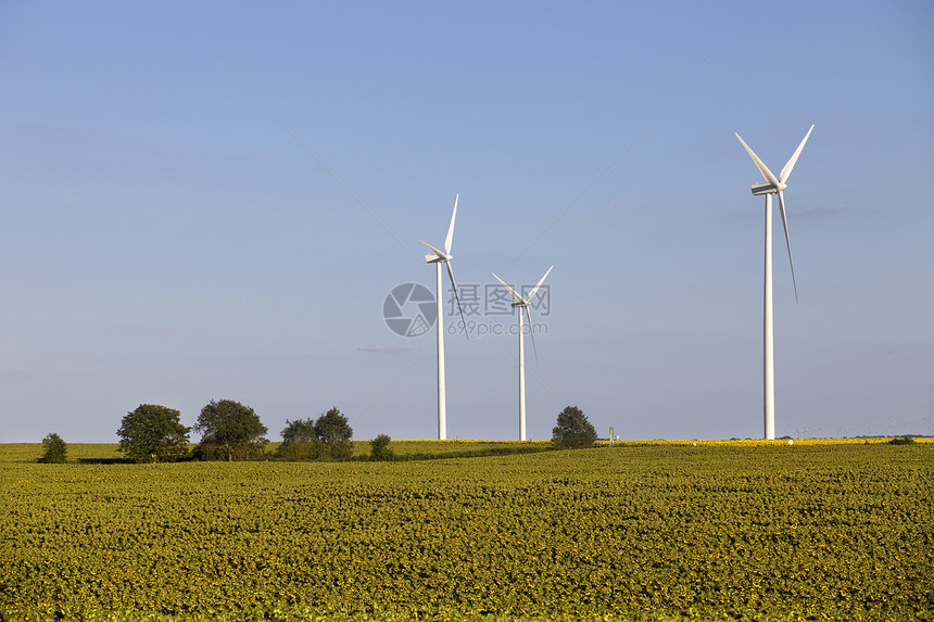 法语以北的风涡轮农场图片