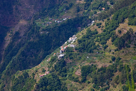 从上方看Madeir岛Potugal的Cdsfreias小村图片