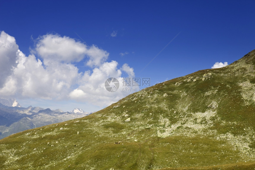 南阿尔卑斯山伯恩州瑞士图片