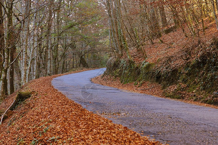 葡萄牙的道路风景图片