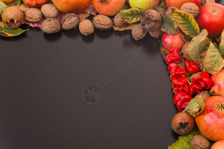 秋季生命复制空间暗底背景从顶部的秋季构成文本自由空间图片