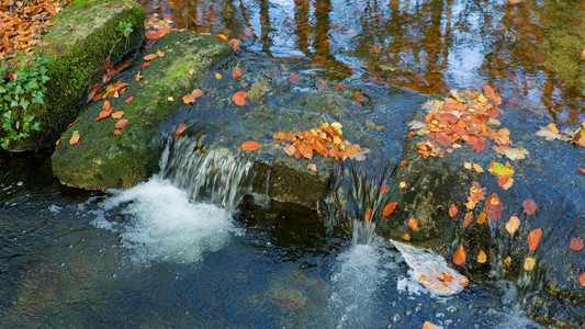秋天在捷雷斯公园Portugal河高清图片