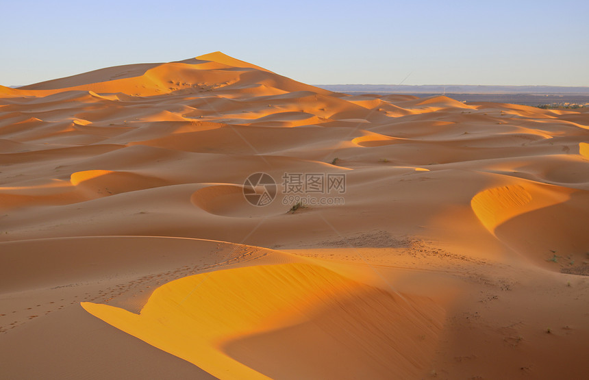 日落时沙哈拉漠丘图片