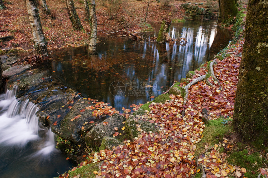 秋季在格列斯公园Portugal图片