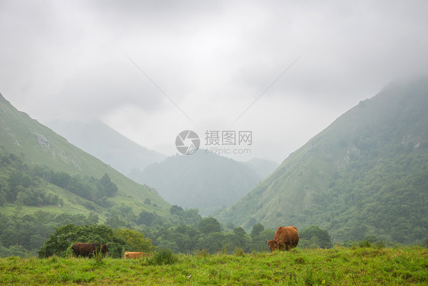 山地是西班牙的一个非常旅游地方图片