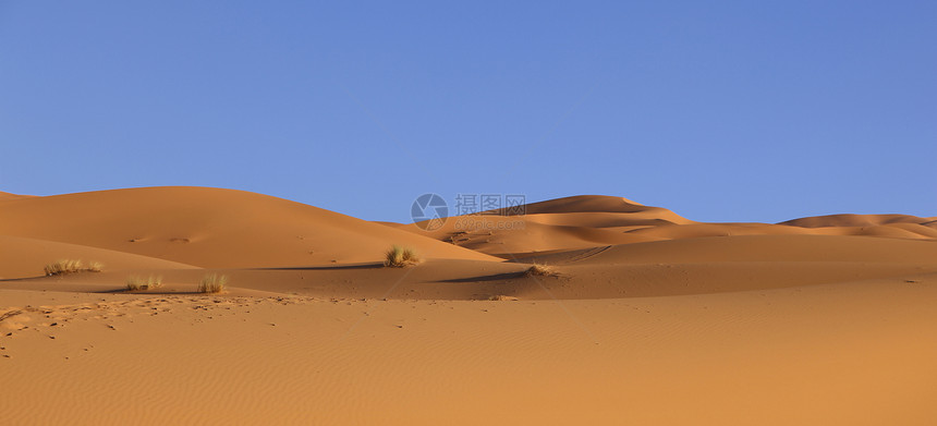 在摩洛哥沙哈拉漠丘图片
