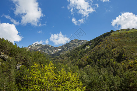 在欧洲皮科斯德罗巴公园西班牙阿斯图里亚山峰上的雪高清图片