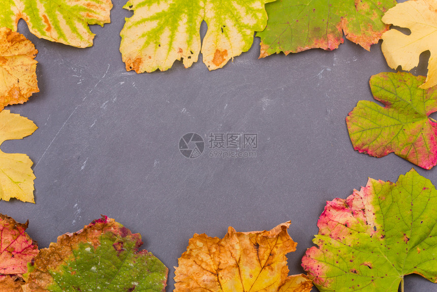 秋天的背景是深色的叶子图片
