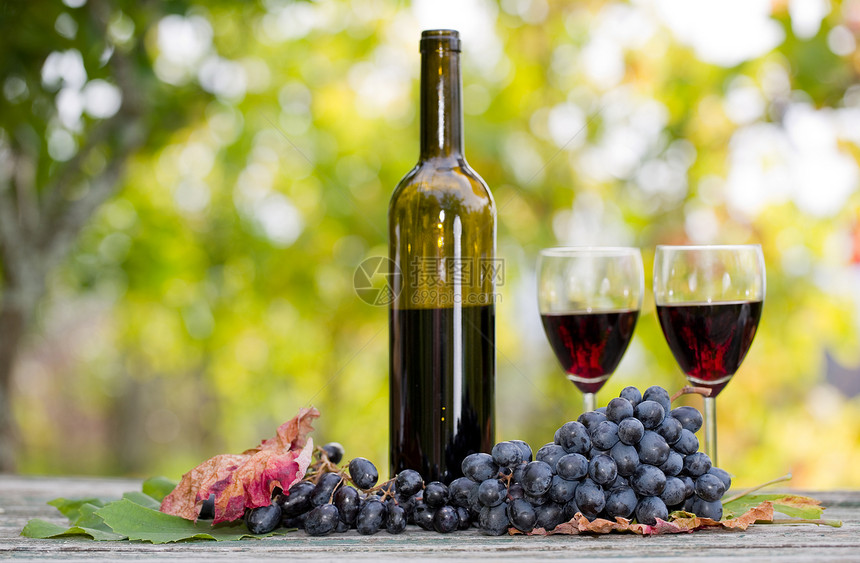 户外木桌上的葡萄和葡萄酒图片