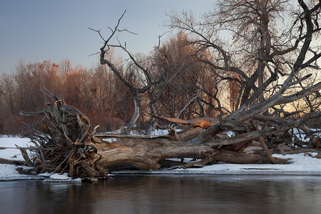 赛里木河科罗拉多东部南普特河典型的冬季风景背景
