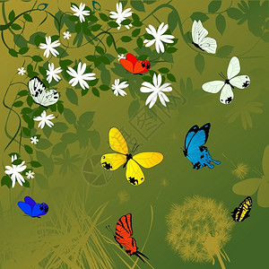 春背景鲜花和蝴蝶背景图片