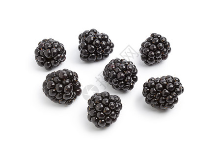 白色背景的新鲜黑莓背景图片