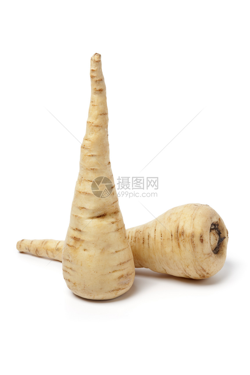 两个全新的ParsnipsPastinacaativa孤立在白色背景上图片