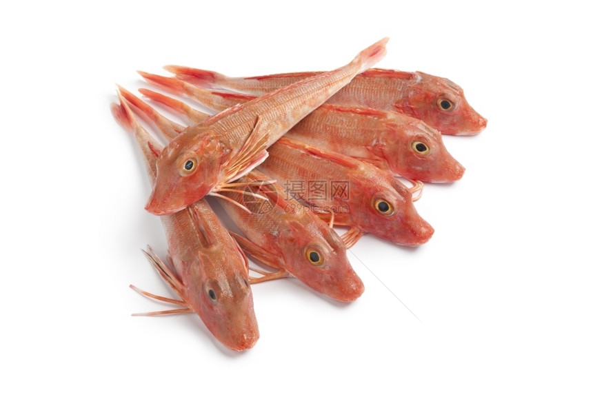 白色背景的红拖网格纳德鱼图片