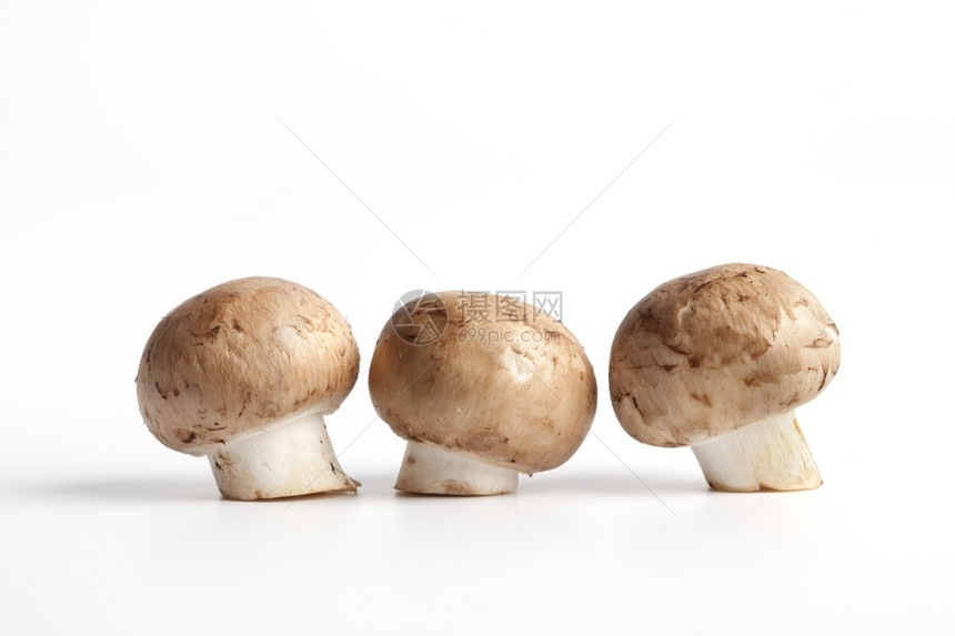 栗子蘑菇阿加里库斯饼干图片