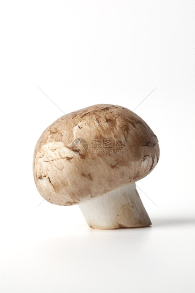 栗子蘑菇阿加里库斯饼干图片