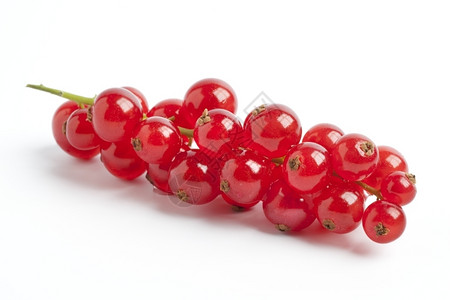 红莓果背景图片