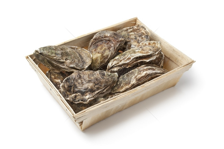 新鲜生牡蛎装在白色背景的盒子里图片