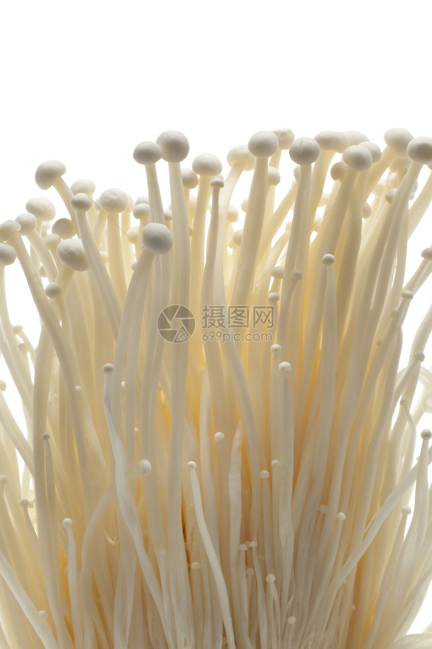 白色背景的新鲜叶诺基蘑菇图片