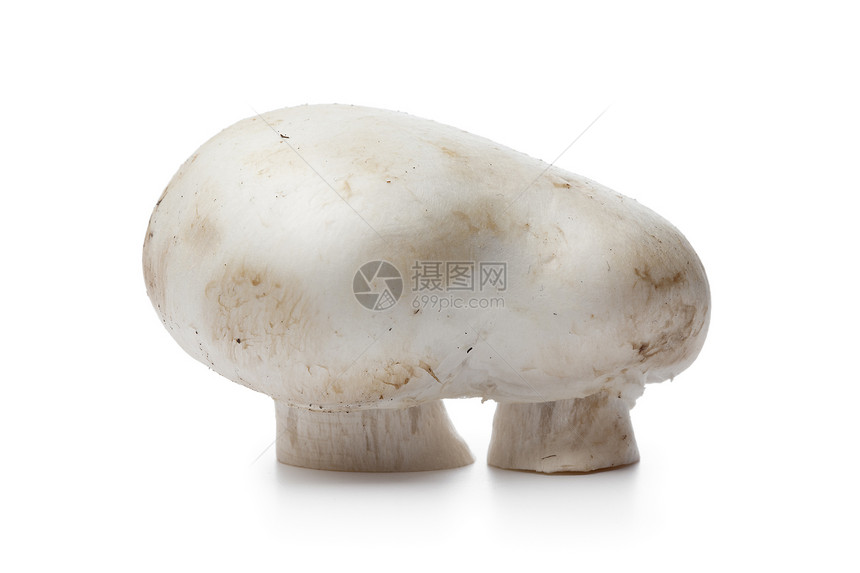 双纽扣蘑菇冠白色背景的图片