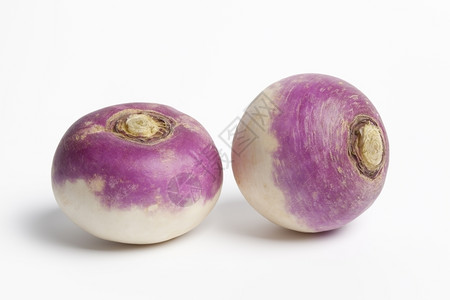 白色背景的两条全紫色头萝卜图片