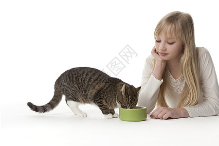 年幼少女在看她的猫白色背景图片