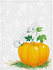 感恩节成熟的南瓜配绿叶和草贺卡图片